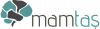 Mamtaş Bilişim